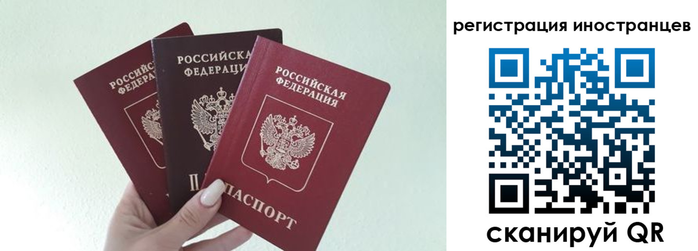 миграционный учет в Могочи